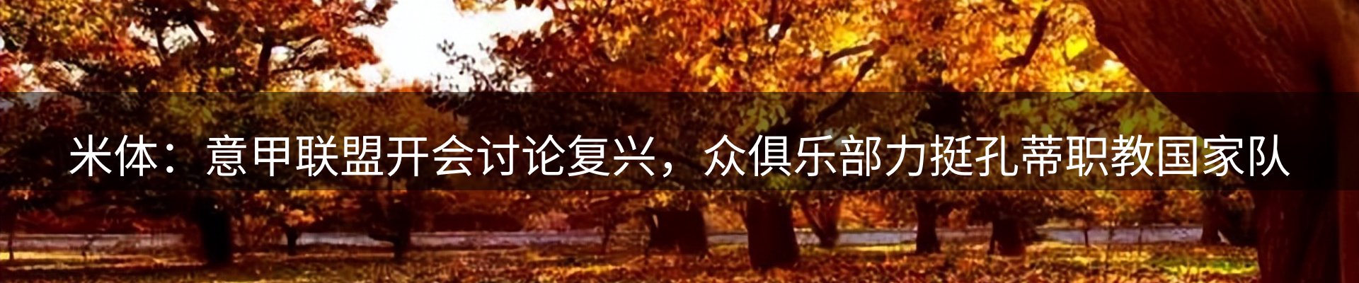 内页banner